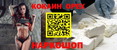 спиды Гай