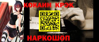 спиды Гай