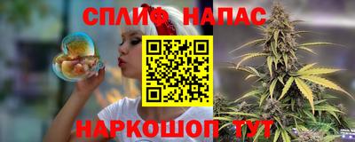 спиды Гай