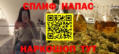 спиды Гай