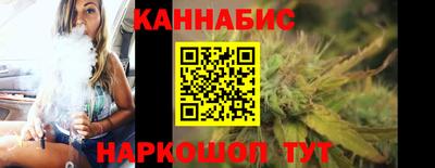 спиды Гай