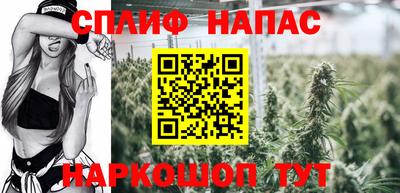 амфетамин Гатчина