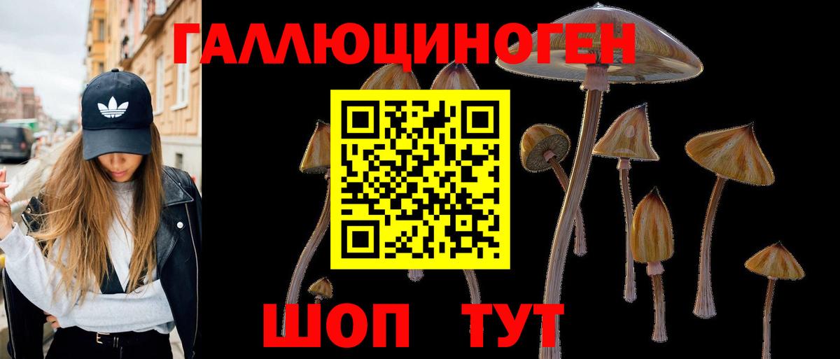Домодедово  Псилоцибиновые грибы Cubensis  Вход с VPN  Псилоцибиновые грибы Cubensis 